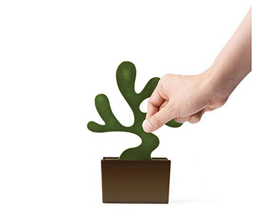 Desk Bonsai Storage Box & Note Plate Tree