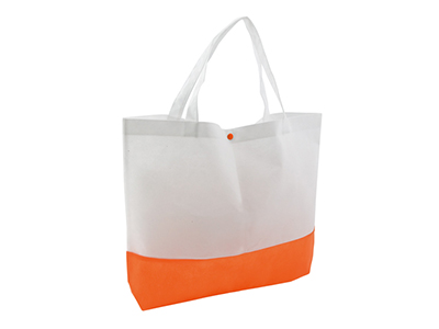 BAGSTER BEACH BAG