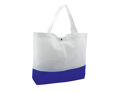 BAGSTER BEACH BAG