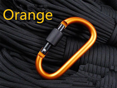 D SHAPE COLORFUL CARABINEER