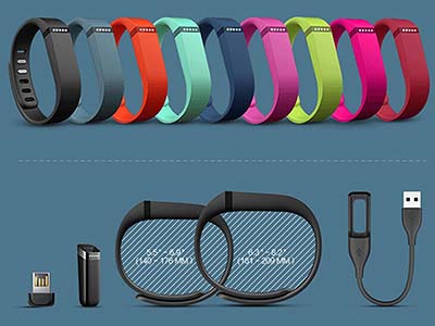 FITBIT FLEX WRISTBAND