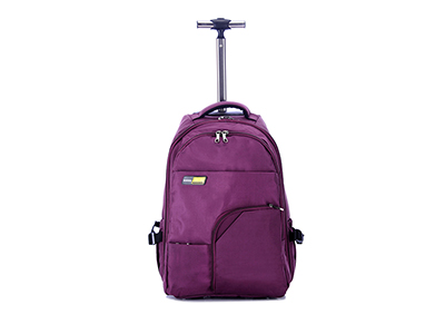 DOUBLE-SHOULDER TRAVEL BAG