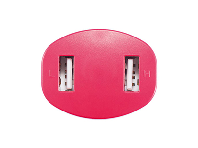 DUAL USB CAR CHARGER