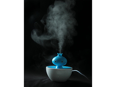 POMEGRANATE MINI USB AIR HUMIDIFIER