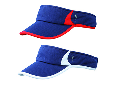 2-COLOR VISOR