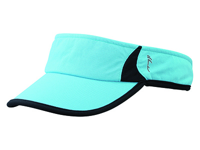 2-COLOR VISOR