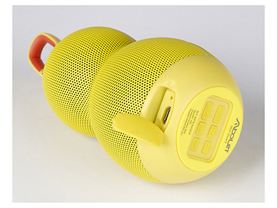 BLUETOOTH SPEAKER WITH VOICE OUTPUT & PEDOMETER