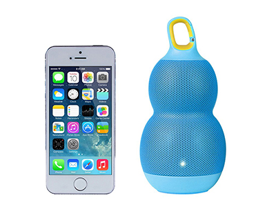 BLUETOOTH SPEAKER WITH VOICE OUTPUT & PEDOMETER