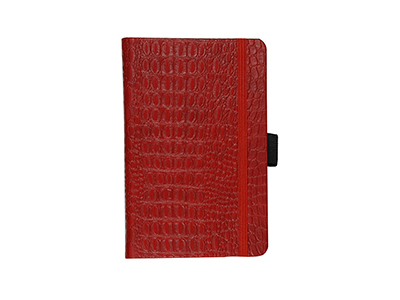 CROC NOTEBOOK 