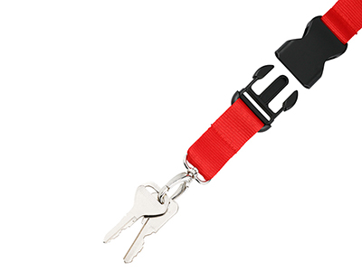 Hang In There Lanyard