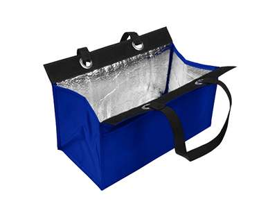 Fashion Cooler Lunch Tote