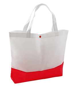 BAGSTER BEACH BAG