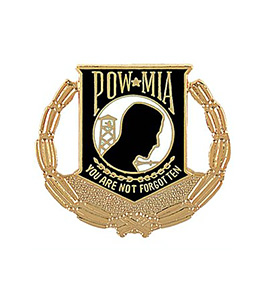 Custom Cloisonne Hard Enamel Lapel Pin 