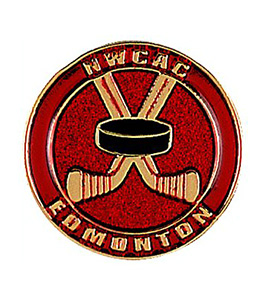 Custom Cloisonne Hard Enamel Lapel Pin 