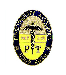 Custom Cloisonne Hard Enamel Lapel Pin 