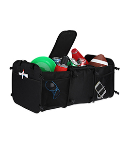 TRUNK COOLER ORGANIZER