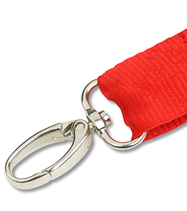 Hang In There Lanyard