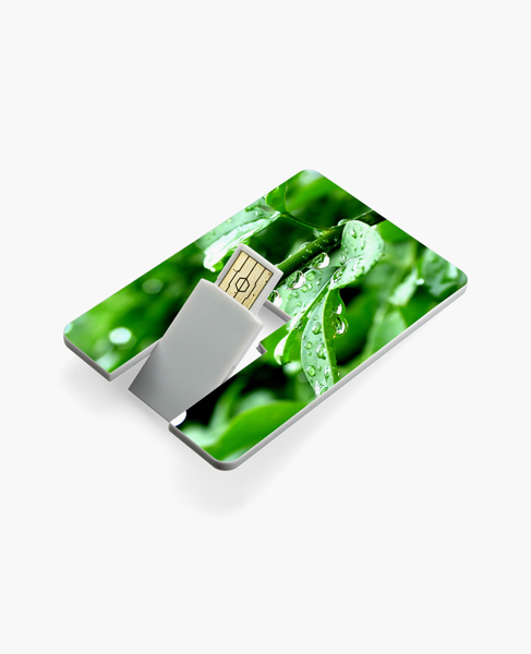 CREDIT CARD USB